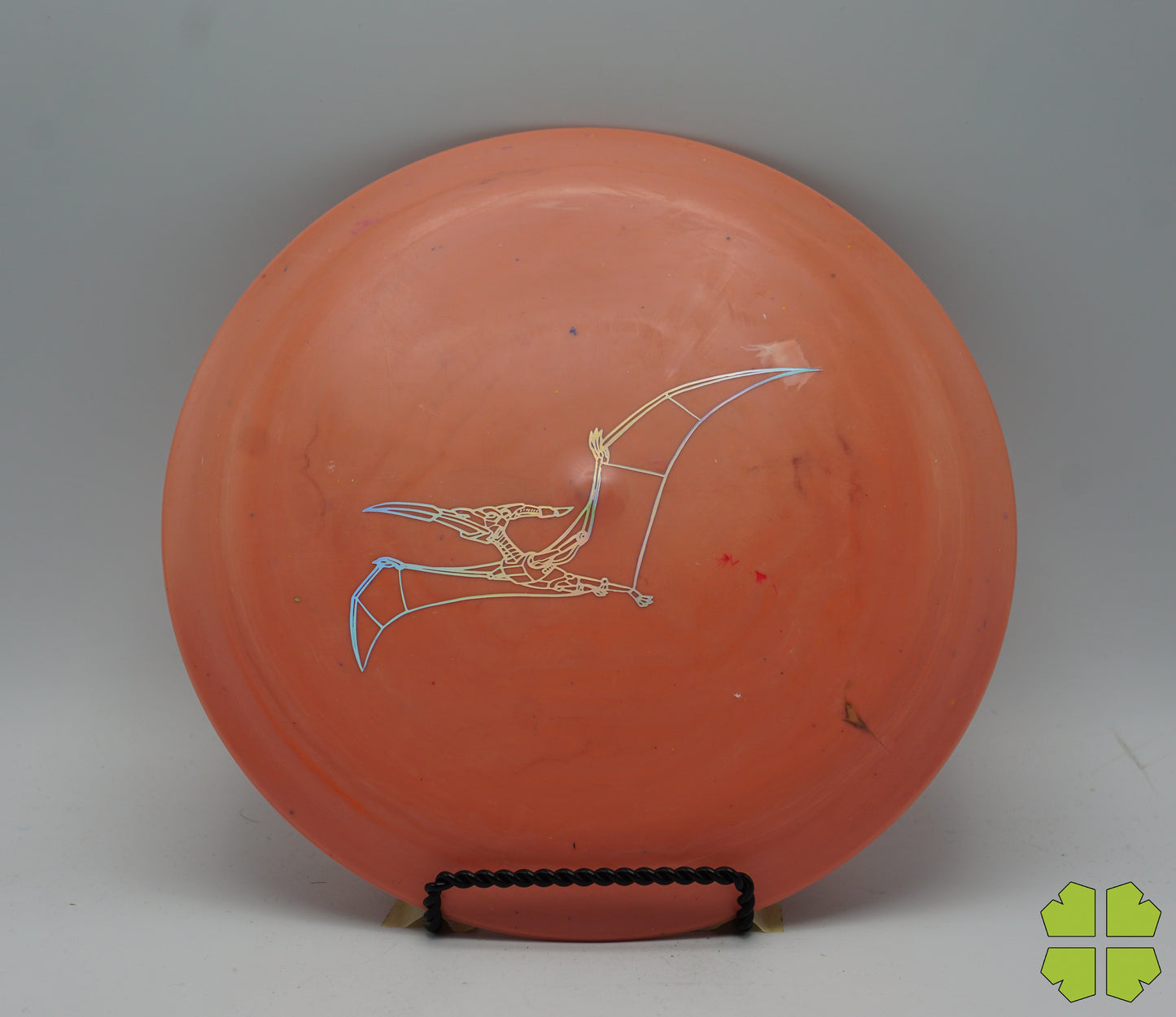 Pterodactylus - Egg Shell