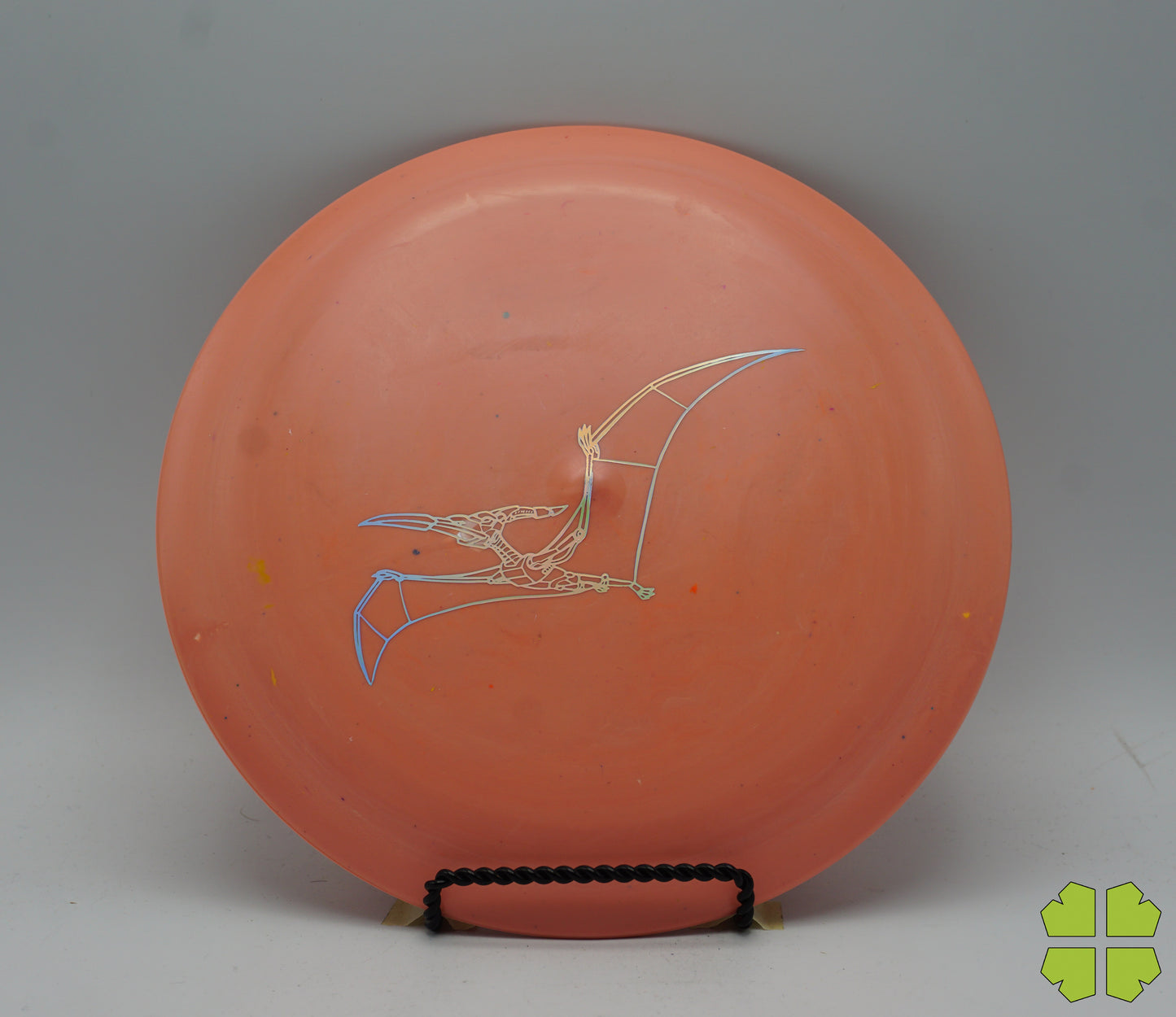 Pterodactylus - Egg Shell