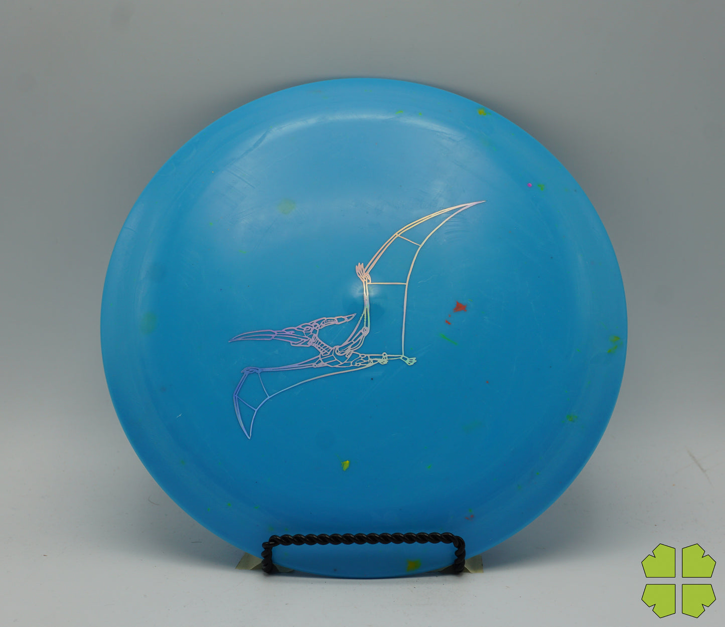 Pterodactylus - Egg Shell