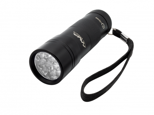 Compact UV Flashlight